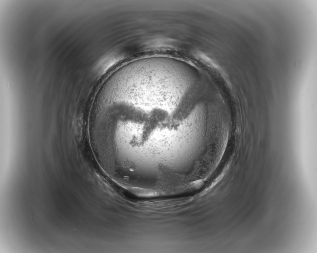 X0000085741313200703161019