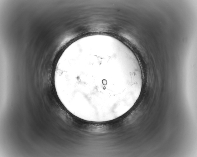 X0000085741314200703161019