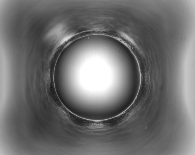 X0000085741315200703161019