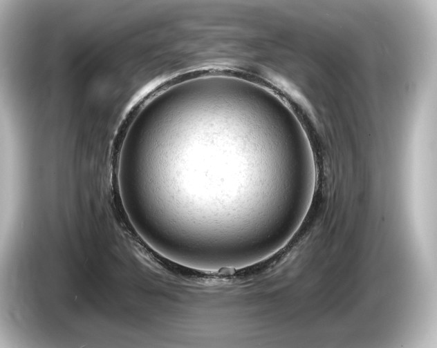 X0000085741316200703161019