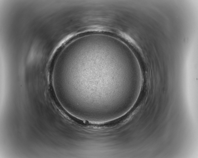 X0000085741318200703161019