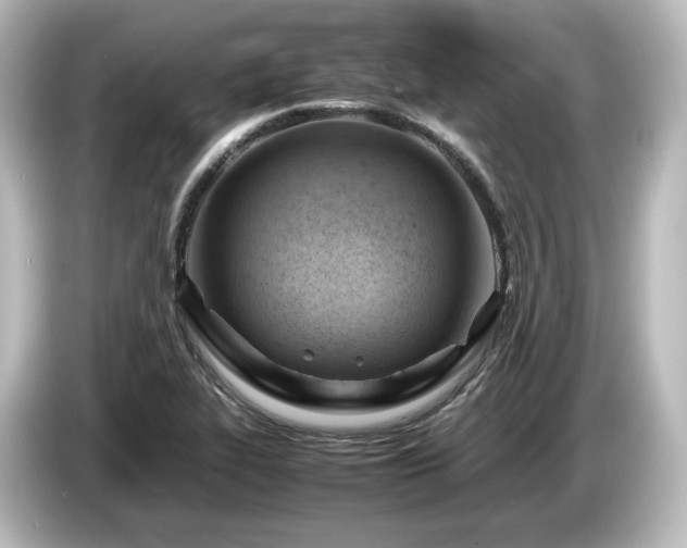 X0000085741319200703161019