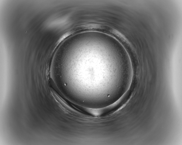 X0000085741321200703161019