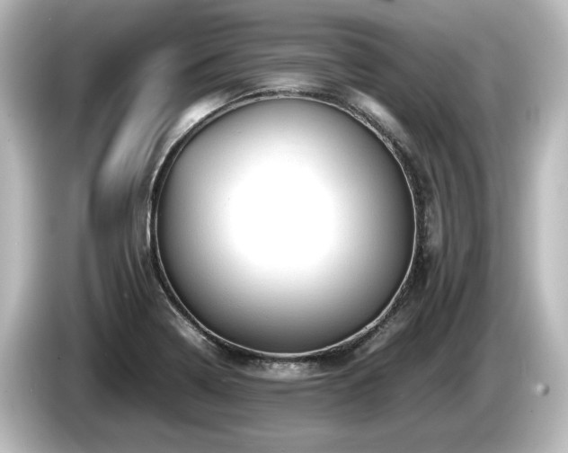 X0000085741322200703161019
