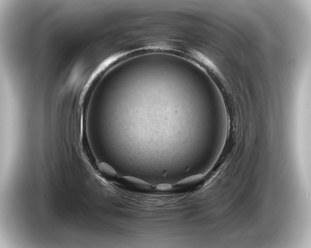 X0000085741323200703161019