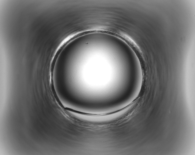 X0000085741324200703161019