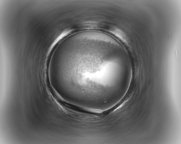 X0000085741325200703161019