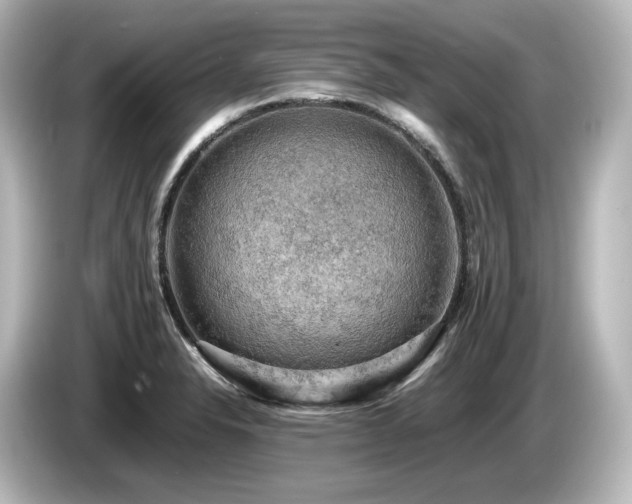 X0000085741326200703161019