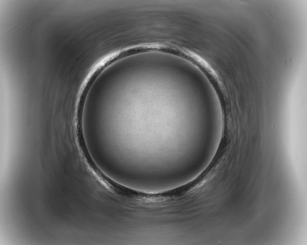 X0000085741327200703161019