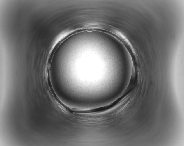 X0000085741328200703161019