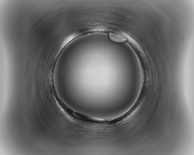 X0000085741329200703161019