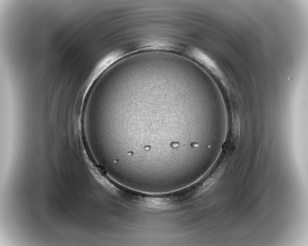X0000085741330200703161019