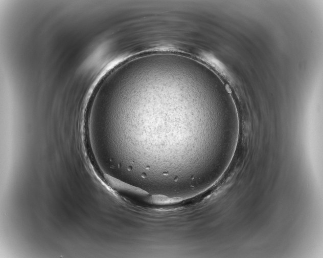 X0000085741331200703161019