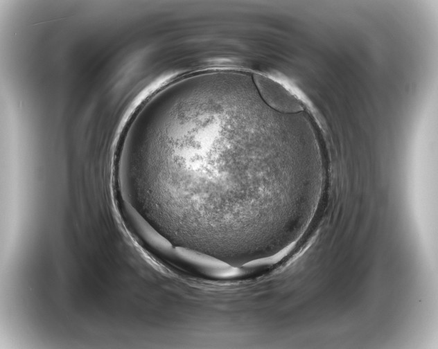 X0000085741333200703161019