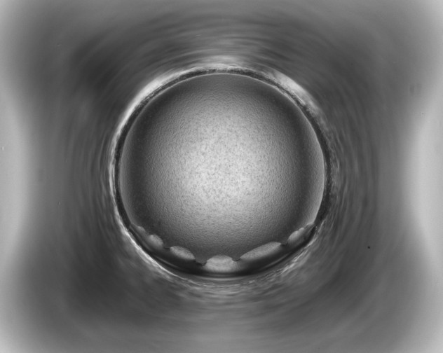X0000085741334200703161019