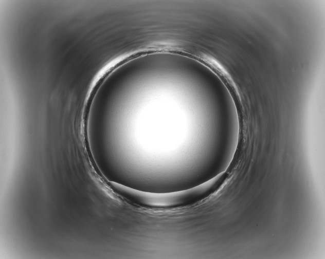 X0000085741336200703161019