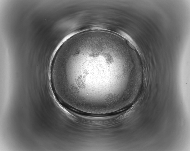 X0000085741339200703161019