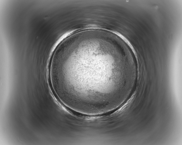 X0000085741341200703161019