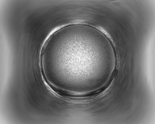 X0000085741342200703161019