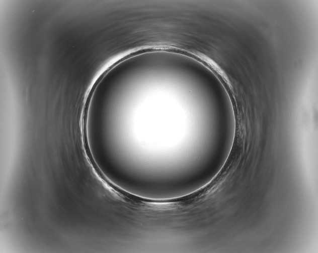 X0000085741343200703161019