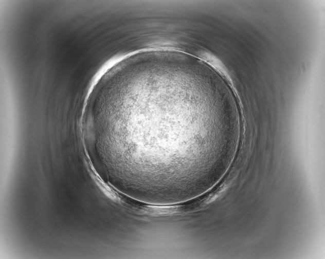 X0000085741344200703161019