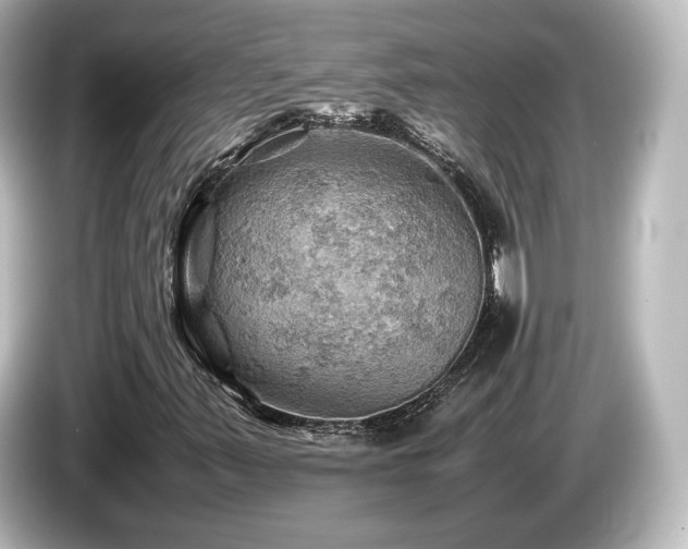 X0000085741347200703161018