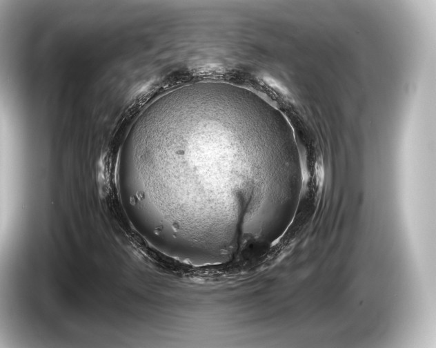 X0000085741348200703161018