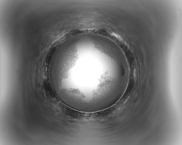 X0000085741350200703161018