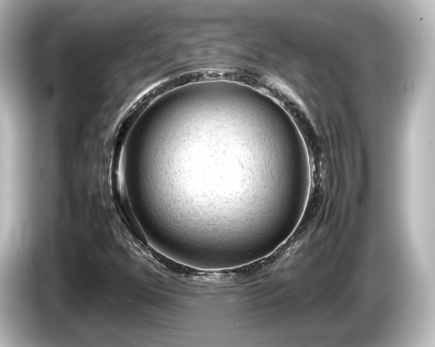 X0000085741352200703161018