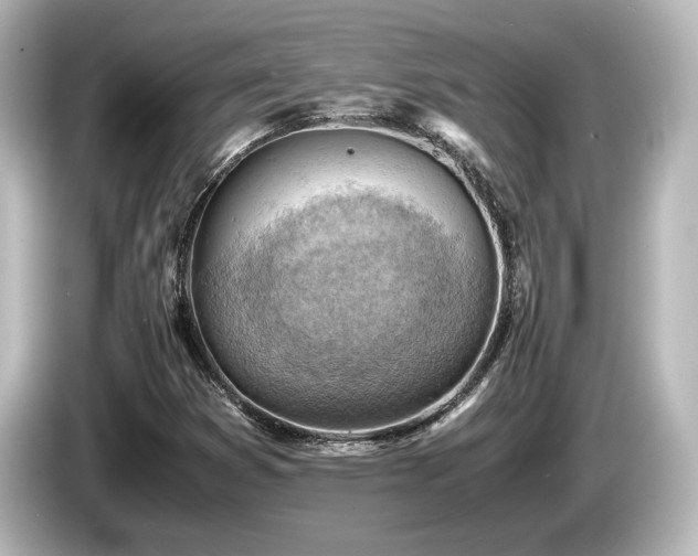 X0000085741353200703161018