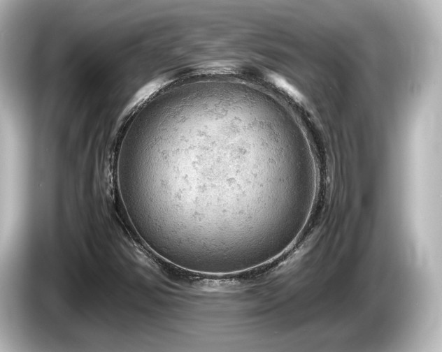 X0000085741354200703161018