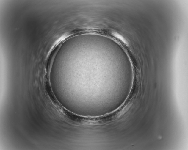 X0000085741357200703161018