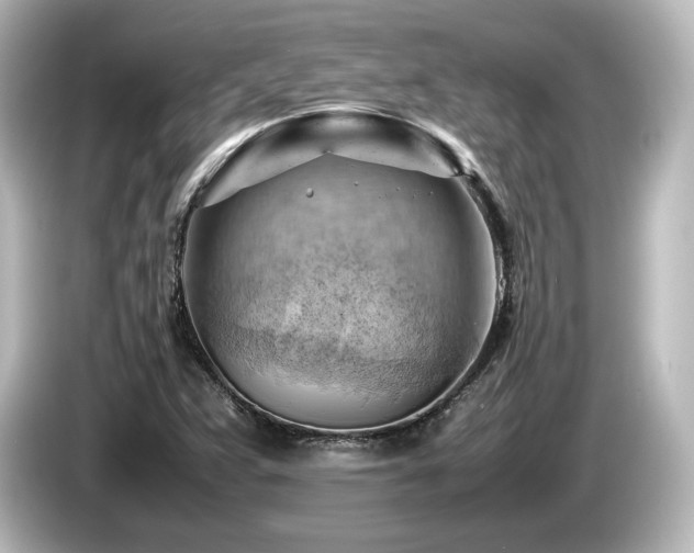 X0000085741359200703161018