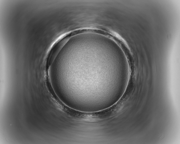 X0000085741360200703161018