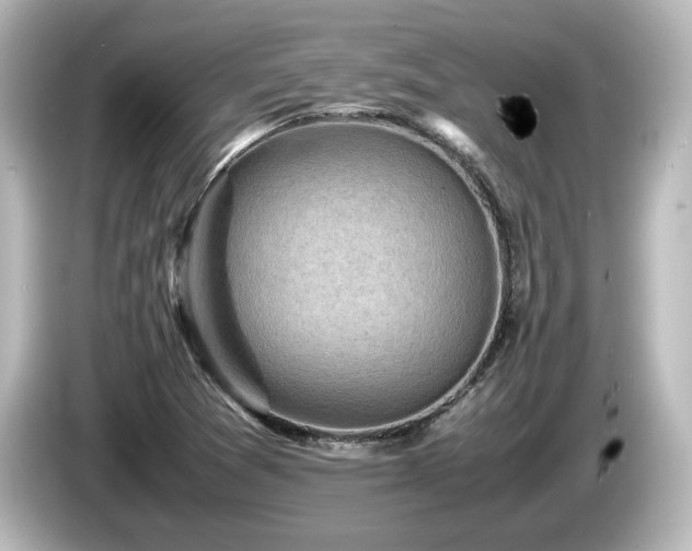 X0000085741361200703161018