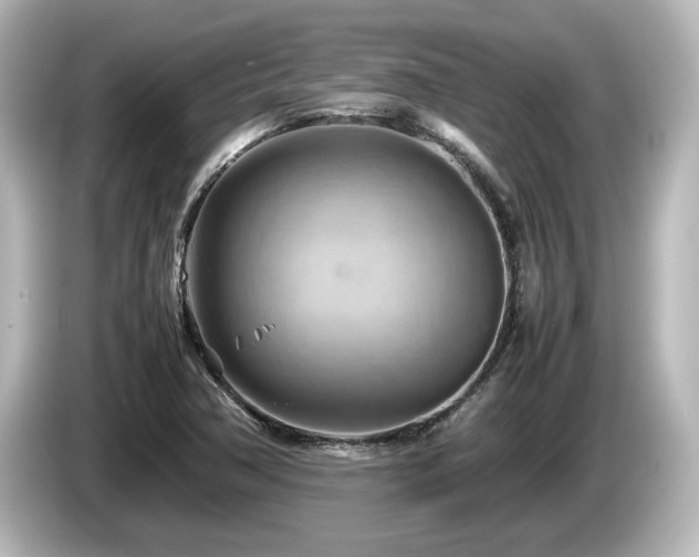 X0000085741362200703161018