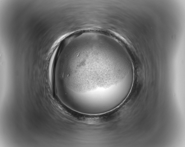 X0000085741363200703161018