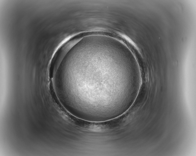 X0000085741364200703161018