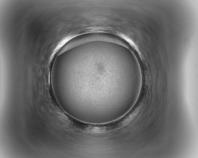 X0000085741365200703161018