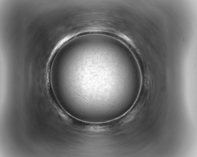 X0000085741366200703161018
