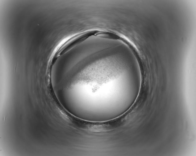 X0000085741367200703161018