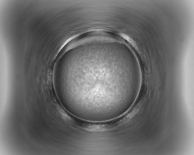 X0000085741369200703161018