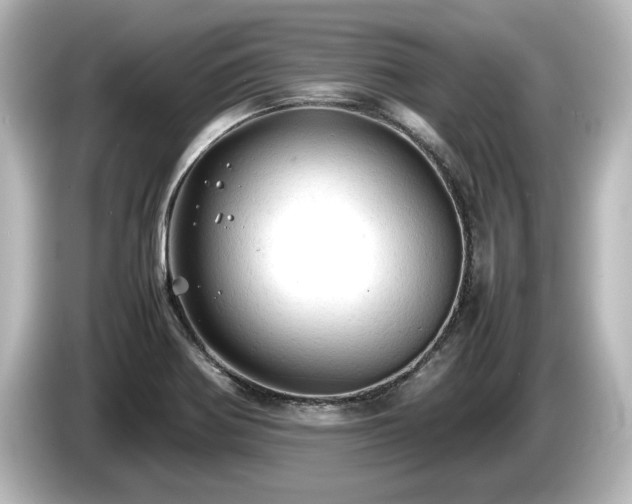 X0000085741370200703161018
