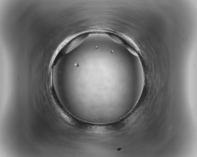 X0000085741371200703161018