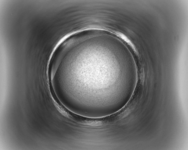 X0000085741372200703161018