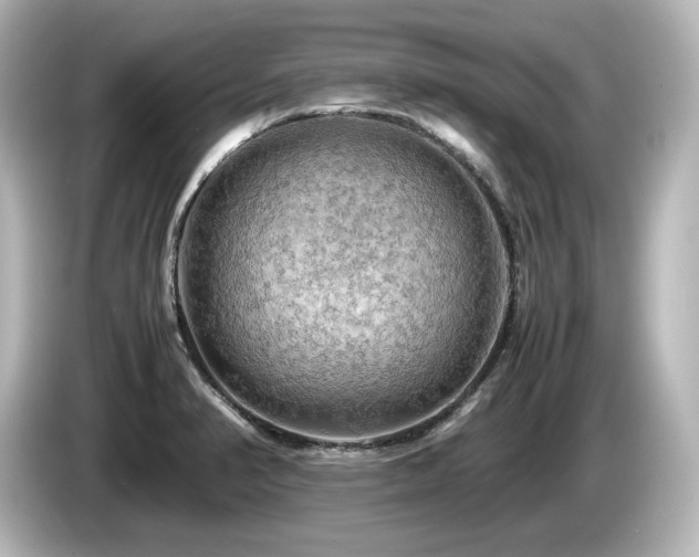 X0000085741374200703161018