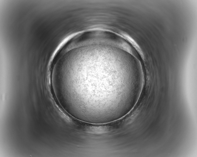 X0000085741376200703161018
