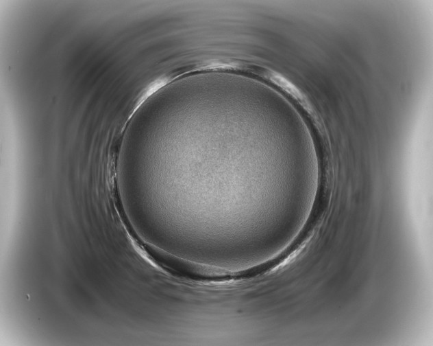 X0000085741377200703161018
