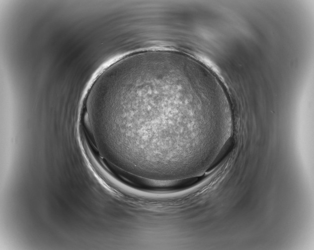 X0000085741379200703161018