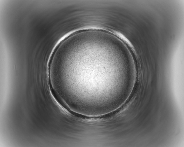 X0000085741380200703161018